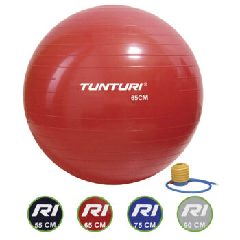 Tunturi Gymball 65 cm